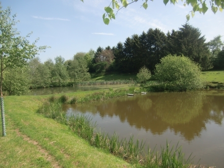 Sonsbeck : Fischteiche an der Reichswaldstraße